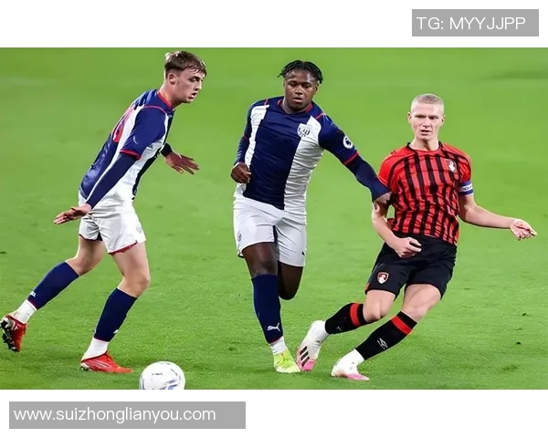 西布朗维奇主场迎战莱斯特城期待精彩对决与精彩进球