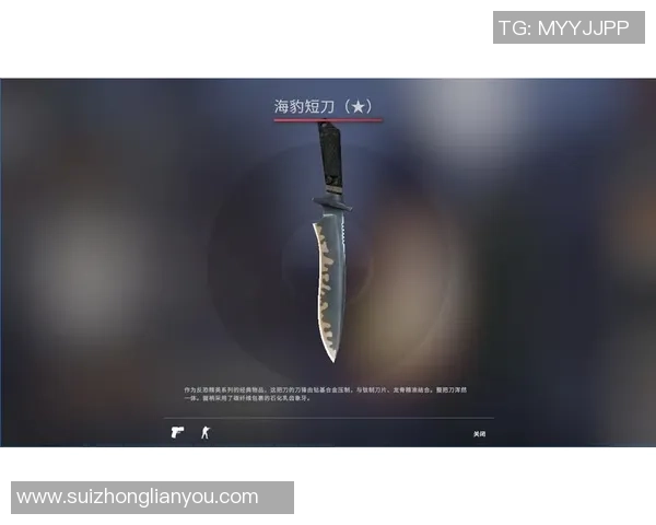 CSGO新手必看：团队配合与战术入门全攻略分享